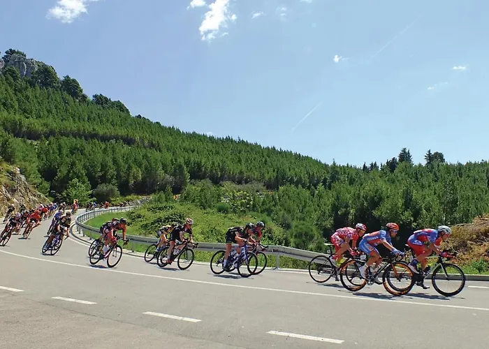 One-bedroom In Макарска